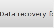 Data recovery for Anderson data